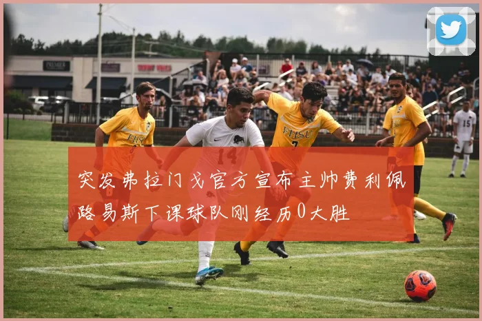 突发弗拉门戈官方宣布主帅费利佩路易斯下课球队刚经历0大胜